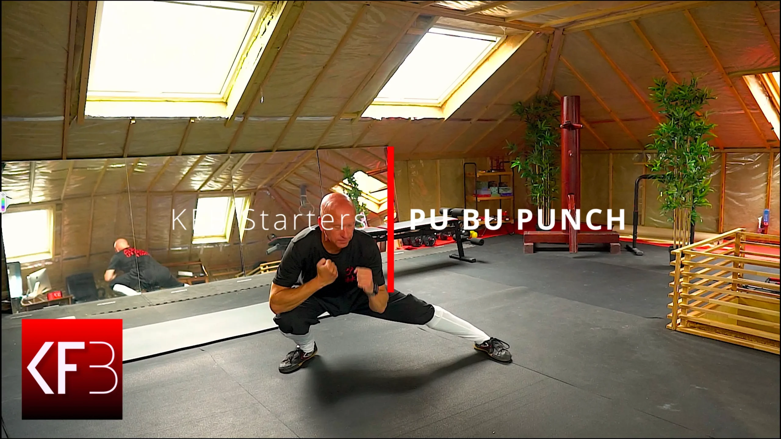 Kung Fu Body Starters Pu Bu Punch Kungfu Body Center